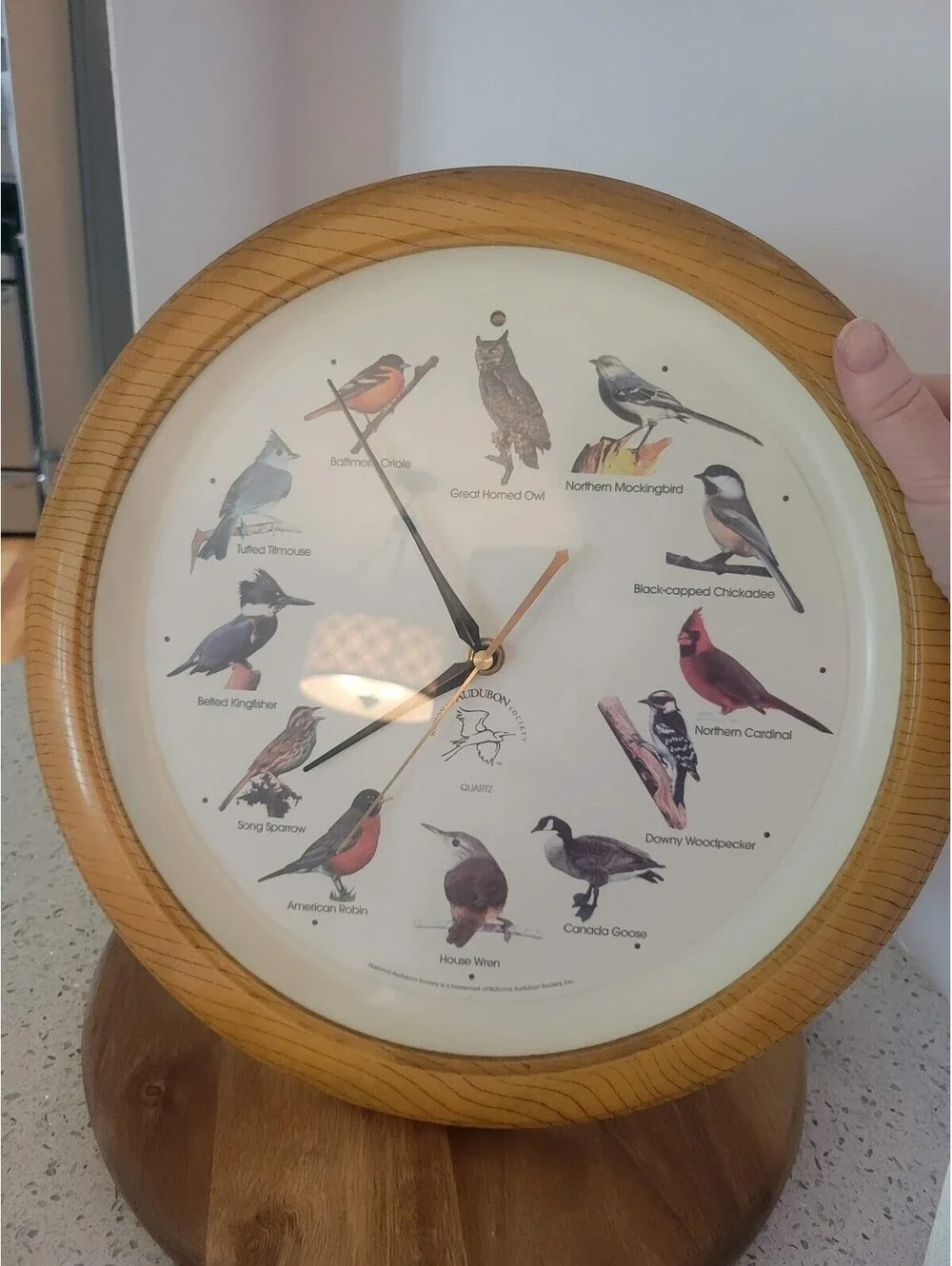 National Audubon Society Bird Song Wall Clock Musical Works